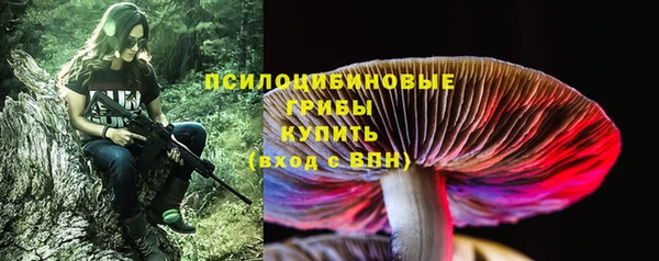 ешки Алзамай